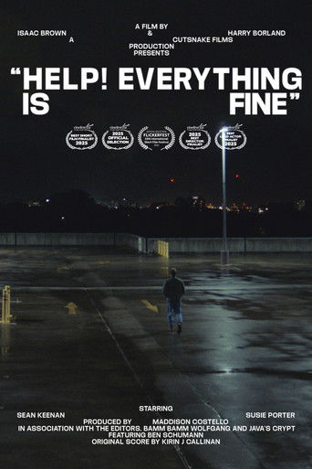 Help! Everything is Fine poster