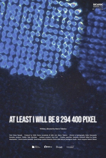 Movie poster for At Least I Will Be 8 294 400 Pixel (2024)