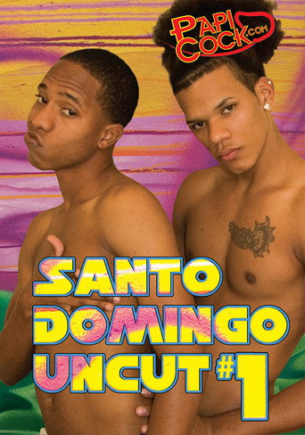 Movie poster for Santo Domingo Uncut 1 (2008)