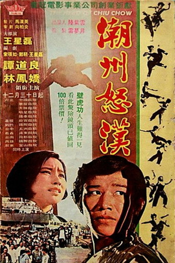 Movie poster for The Hero of Chiu Chow (1972)