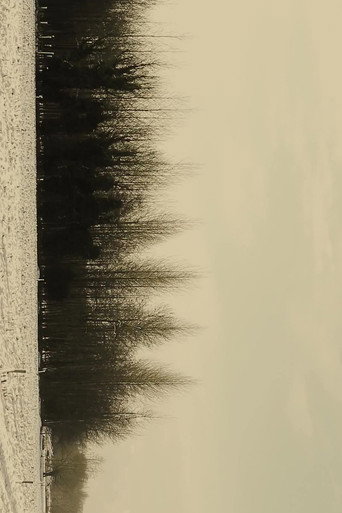 Movie poster for REVELATION (2015)
