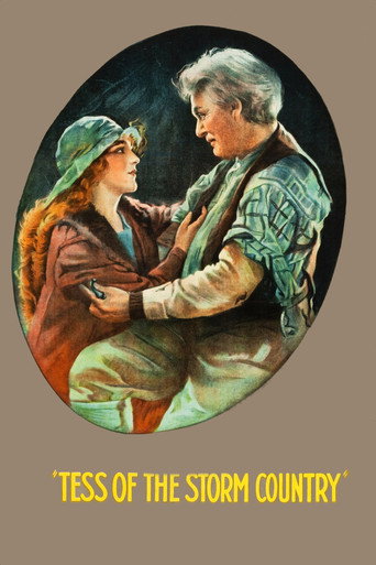 Movie poster for Tess of the Storm Country (1922)
