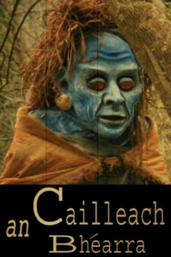 Movie poster for An Cailleach Bhéarra (2007)