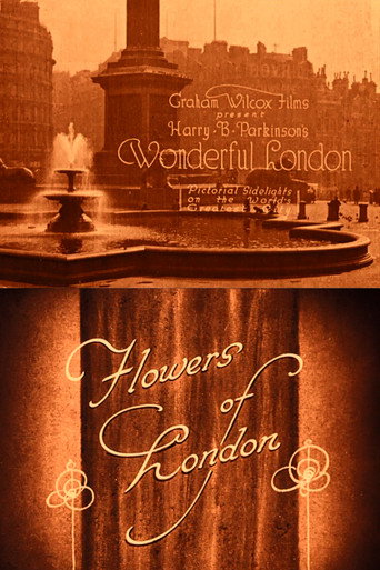 Movie poster for Wonderful London: Flowers of London (1924)