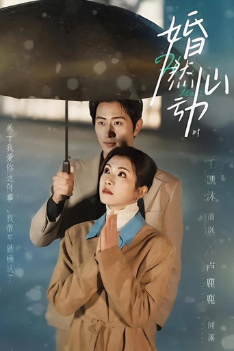 婚然心动时 poster