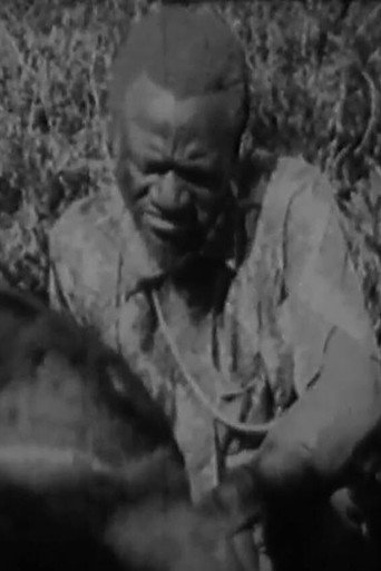 Movie poster for O Kimbanda Kambia (1979)