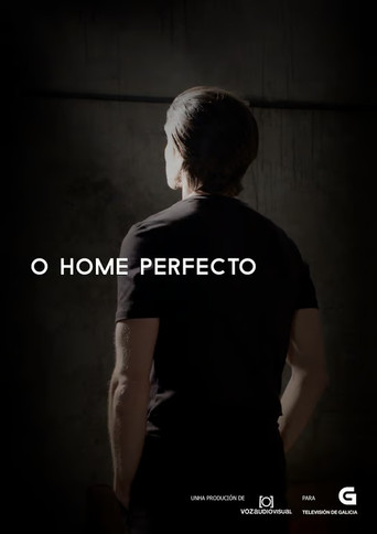 O home perfecto poster