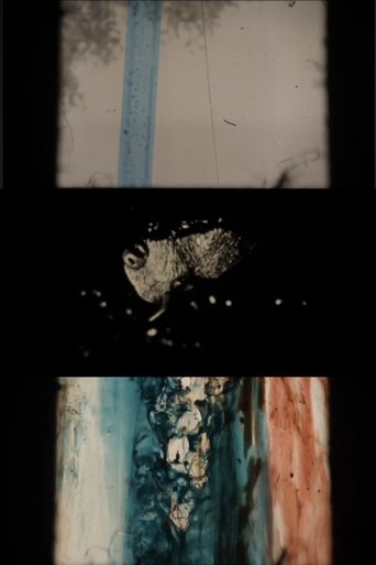 Movie poster for The Rip (2011)
