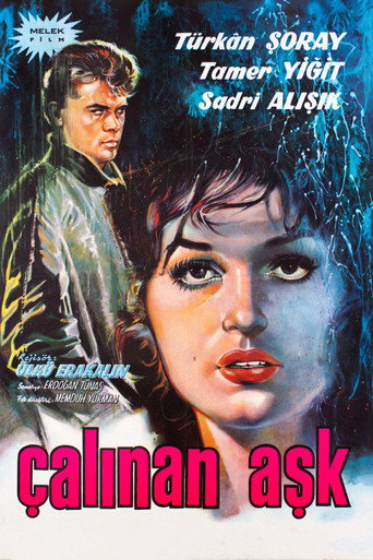Movie poster for The Stolen Love (1963)