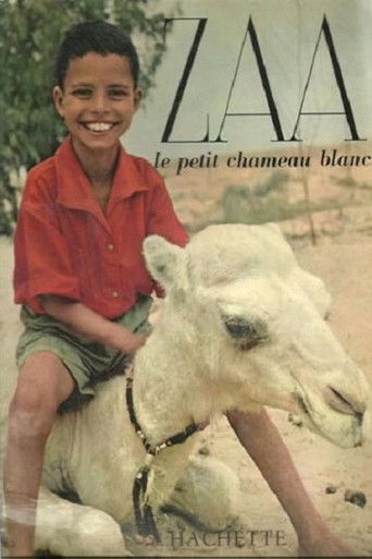 Zaa, the Little White Camel poster