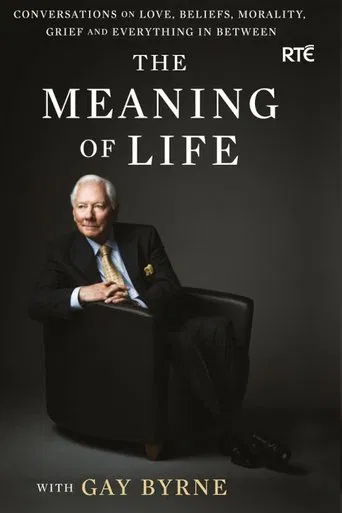 Series poster for The Meaning of Life (2009)