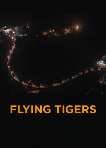 Movie poster for Flying Tigers (2026)