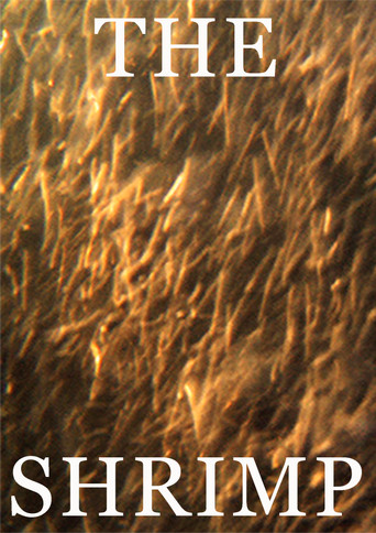 Movie poster for The Shrimp