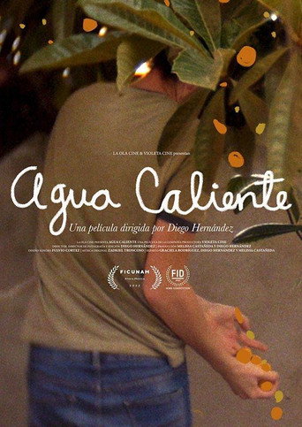 Movie poster for Agua Caliente (2022)