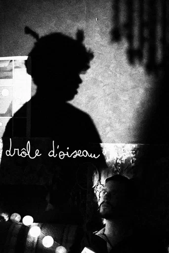 Movie poster for Drôle d'Oiseau (2026)