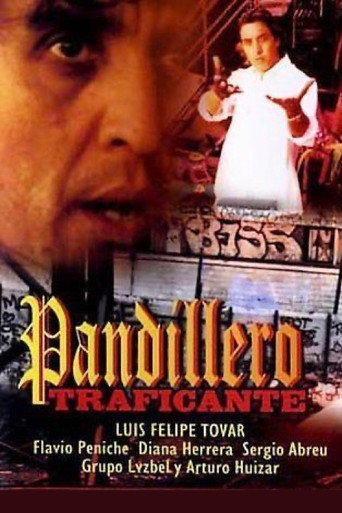 Movie poster for Pandillero traficante (2003)