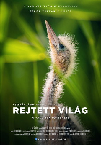 Movie poster for Hidden World: The Story of Hungary's Wild Waters (2023)