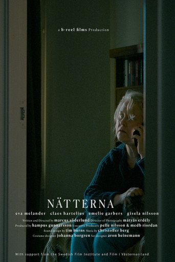 Movie poster for At Night