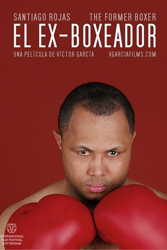 Movie poster for The Former Boxer (2010)