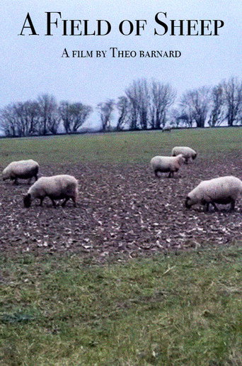 Movie poster for A Field of Sheep (2024)