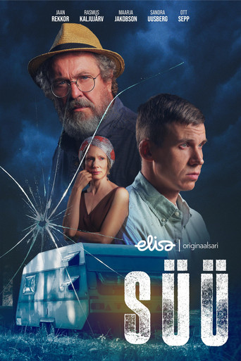 Süü poster