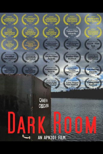 Dark Room poster