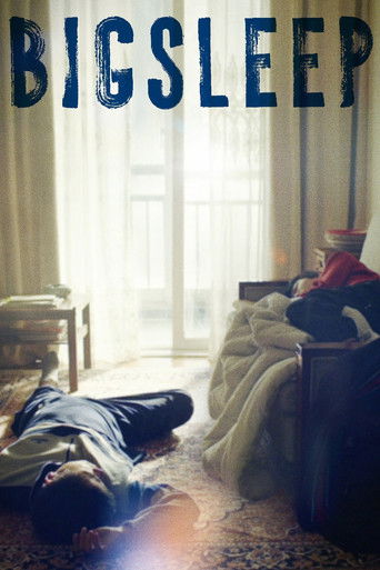 Big Sleep poster
