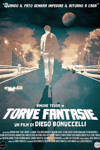 Movie poster for Torve Fantasie (2019)