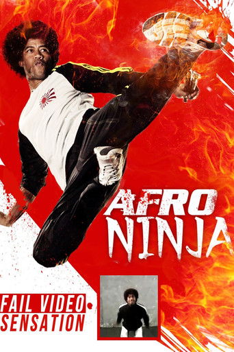 Afro Ninja poster
