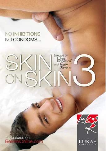 Movie poster for Skin on Skin 3 (2011)