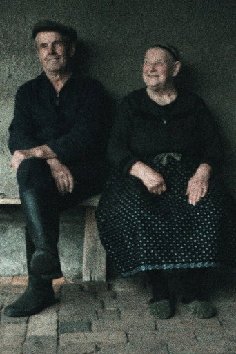 Movie poster for Ein Herbst im Ländchen Bärwalde (1983)