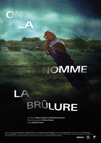 Movie poster for Call it the burning (2022)