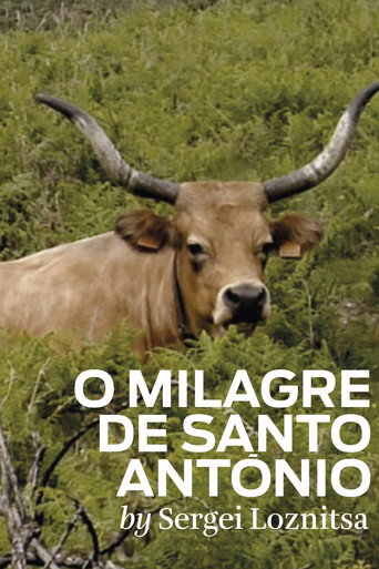 Movie poster for The Miracle of Saint Anthony (2012)