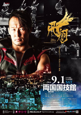 Movie poster for NOAH: Naomichi Marufuji 20th Anniversary Show (2018)