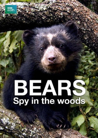 Movie poster for Bears: Spy in the Woods (2004)