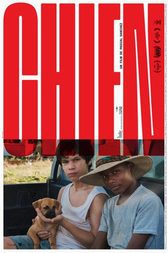 Movie poster for Dog (2019)