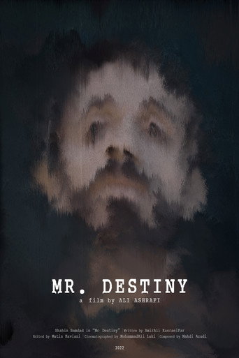 Movie poster for Mr Destiny (2022)