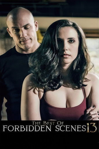 The Best of Forbidden Scenes 13 poster