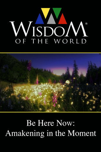 Movie poster for Be Here Now: Awakening In the Moment (2011)