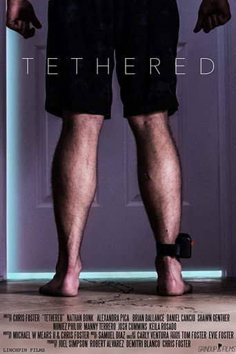 Movie poster for Tethered (2016)