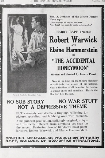 Movie poster for The Accidental Honeymoon (1918)