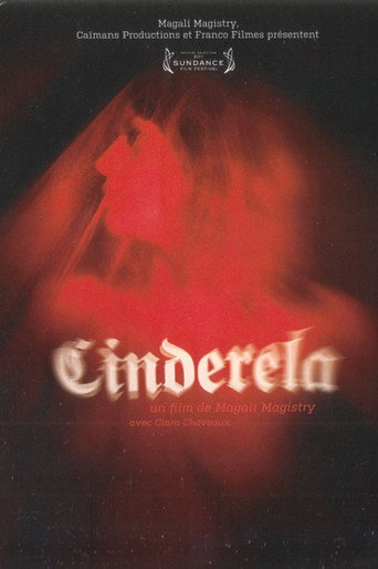 Movie poster for Cinderela (2011)