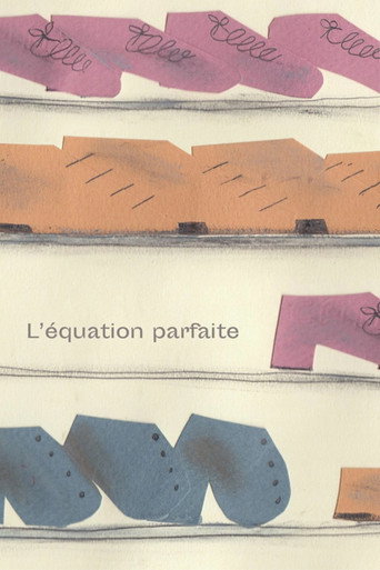 Movie poster for The Perfect Equation