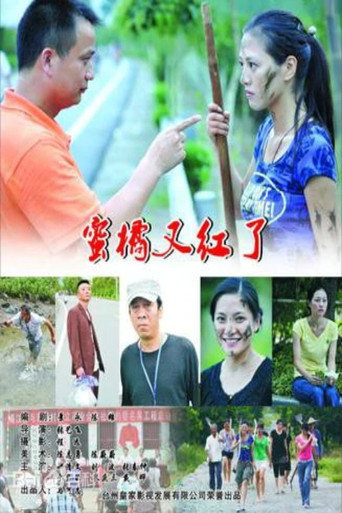 Movie poster for Orange Red Again (2010)