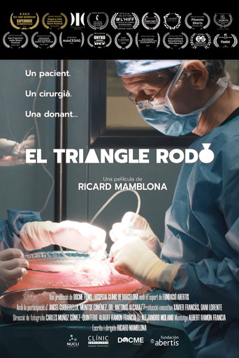 Movie poster for El triangle rodó (2020)