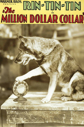 Movie poster for The Million Dollar Collar (1929)