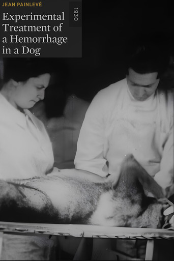 Movie poster for Experimental Treatment of a Hemorrhage in a Dog (1930)