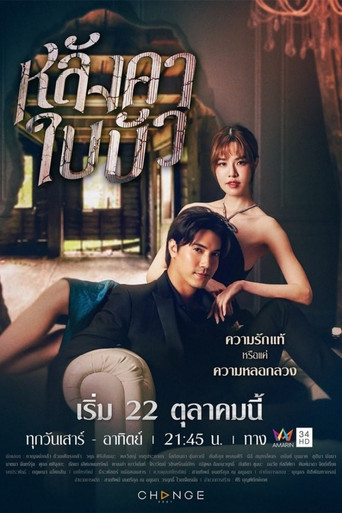 Liar poster