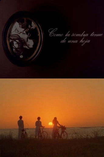 Como la sombra tenue de una hoja poster