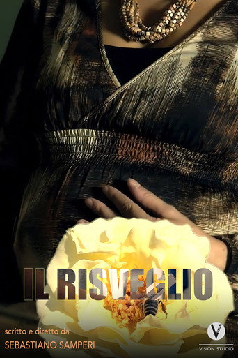 Movie poster for Il risveglio
